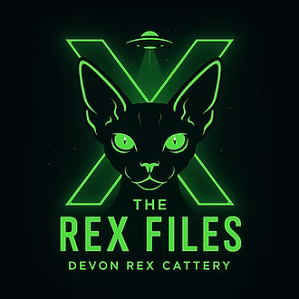 The Rex Files — Devon Rex Cattery
